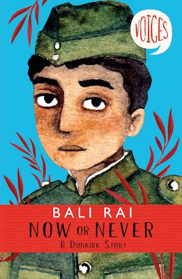 Now or Never book cover