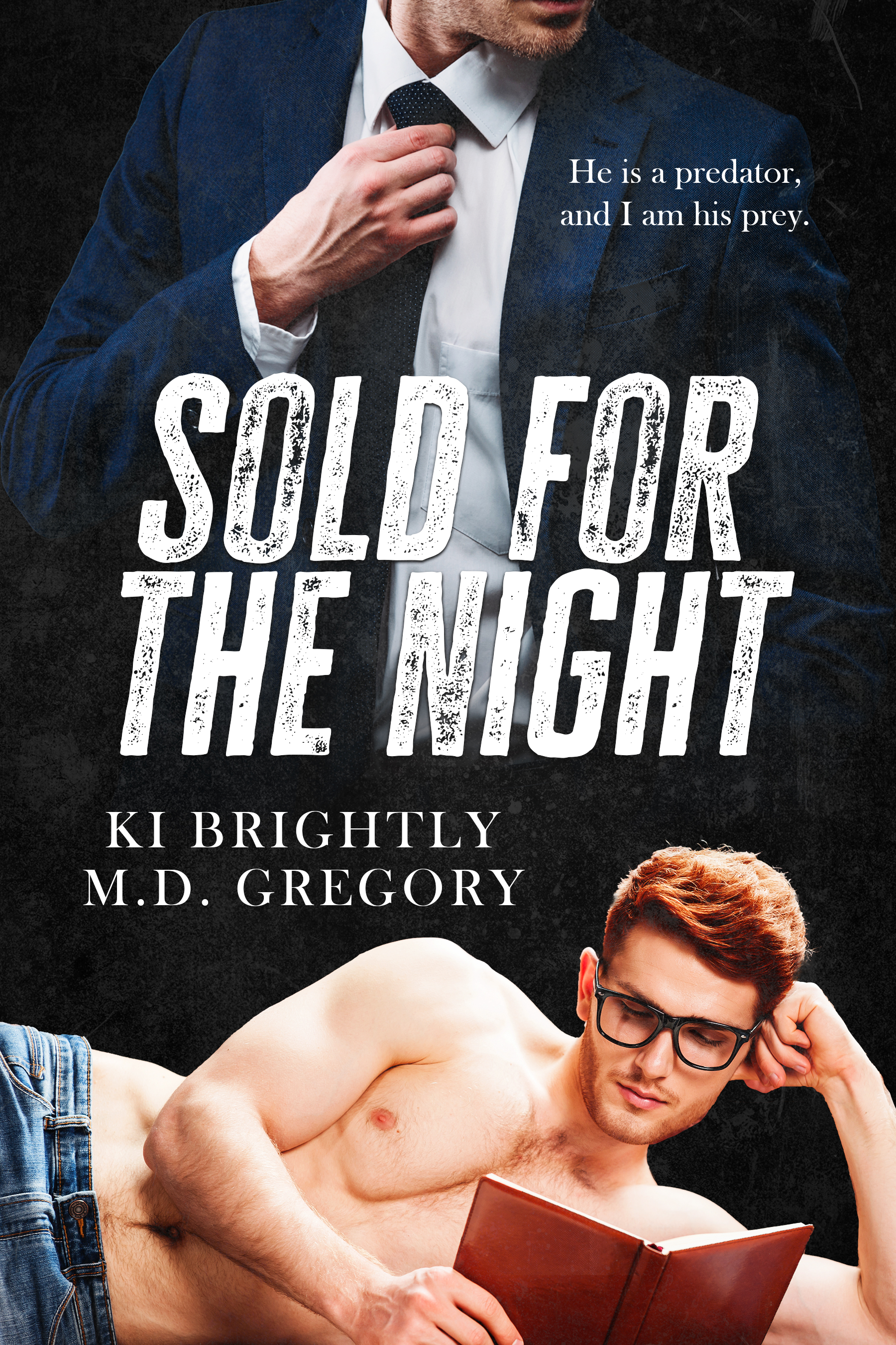 Sold for the Night book cover