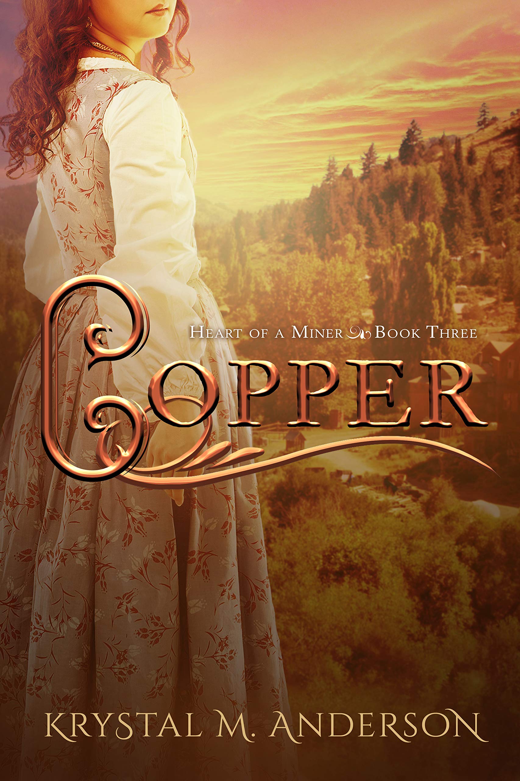 Heart of a Miner book cover 3