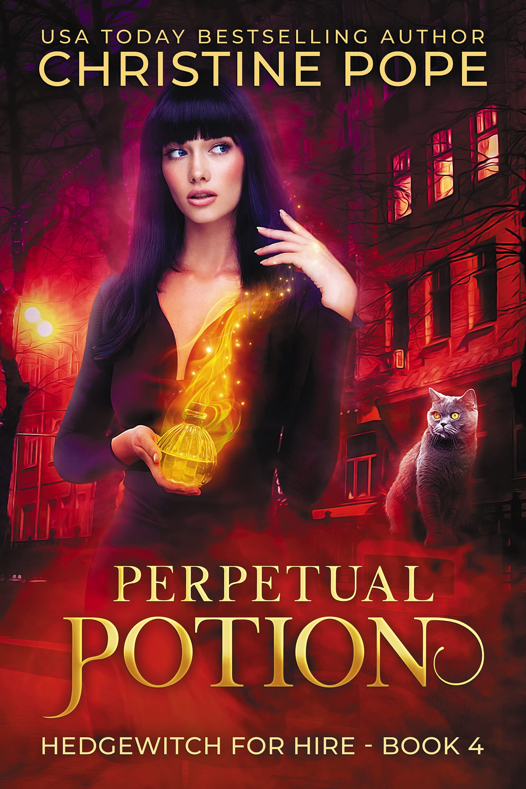 Perpetual Potion book cover