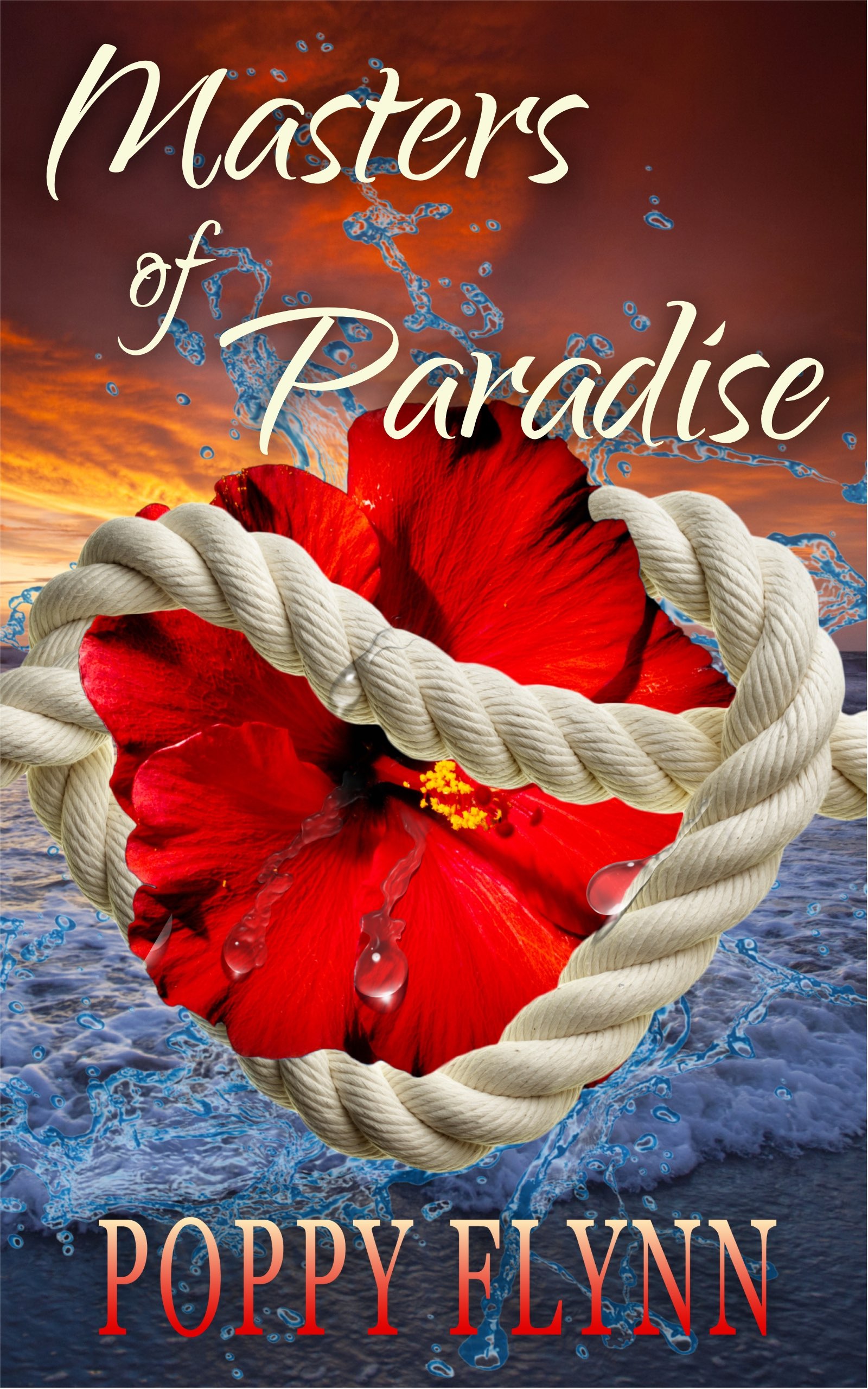 Masters of Paradise book cover 1