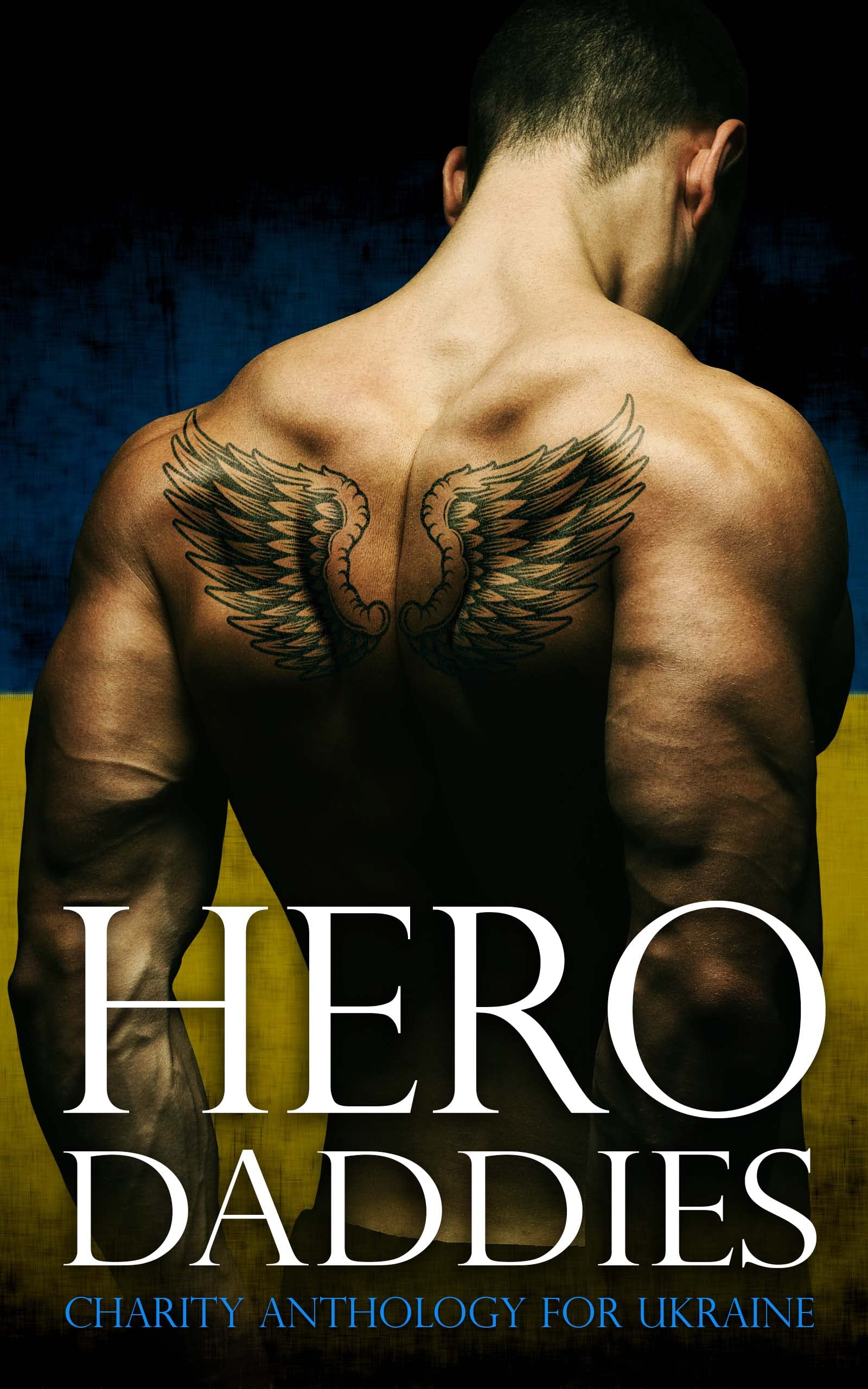 Hero Daddies book cover