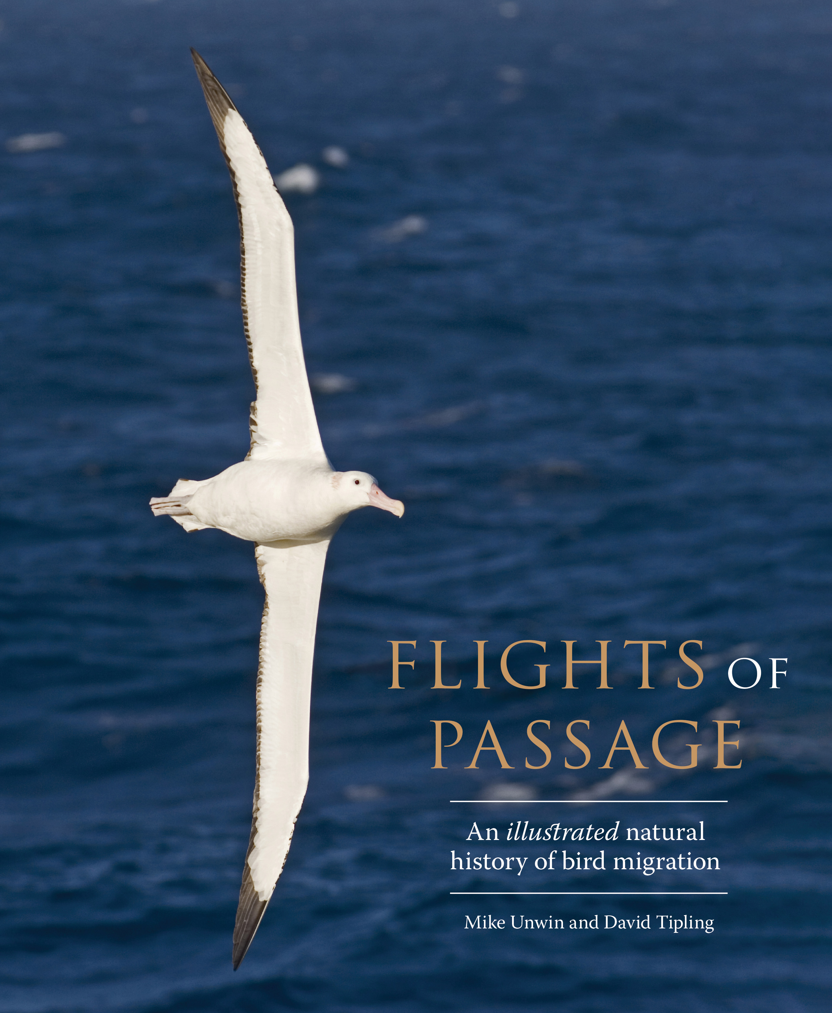 Flights of Passage book cover