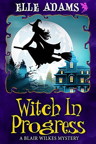 Blair Wilkes Mystery book cover 1