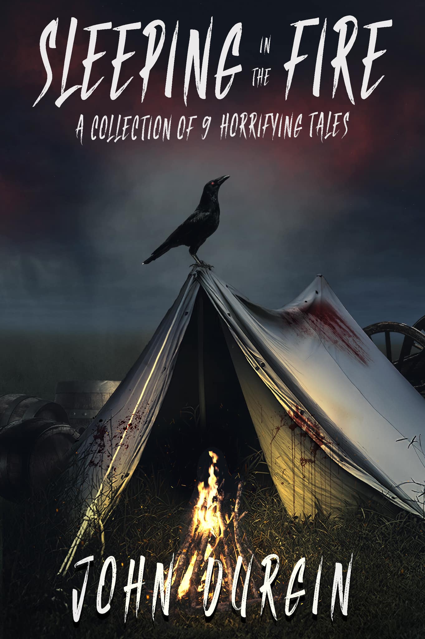 Sleeping In The Fire book cover