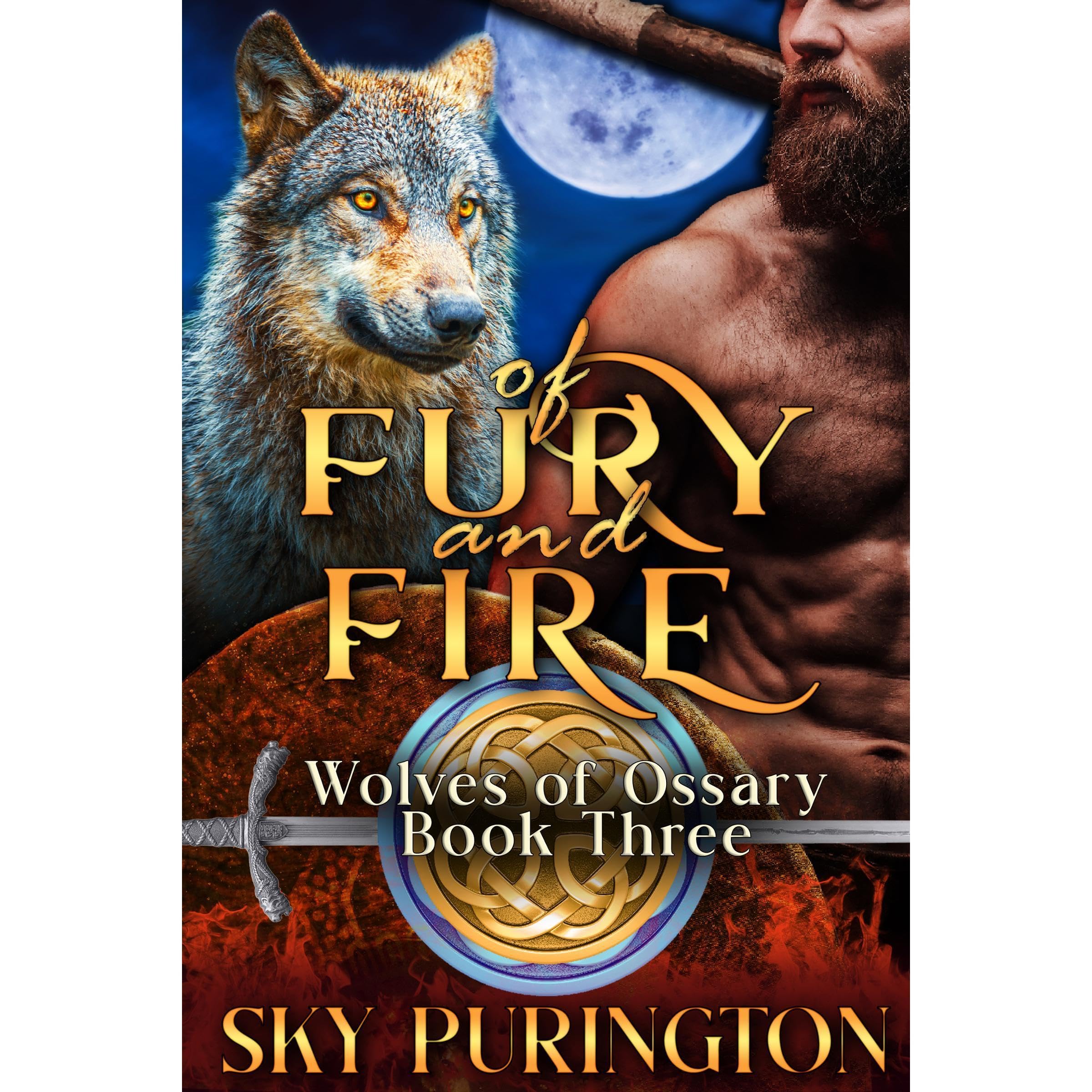 Of Fury and Fire book cover