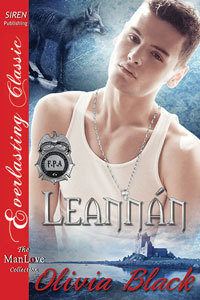 Leannán book cover
