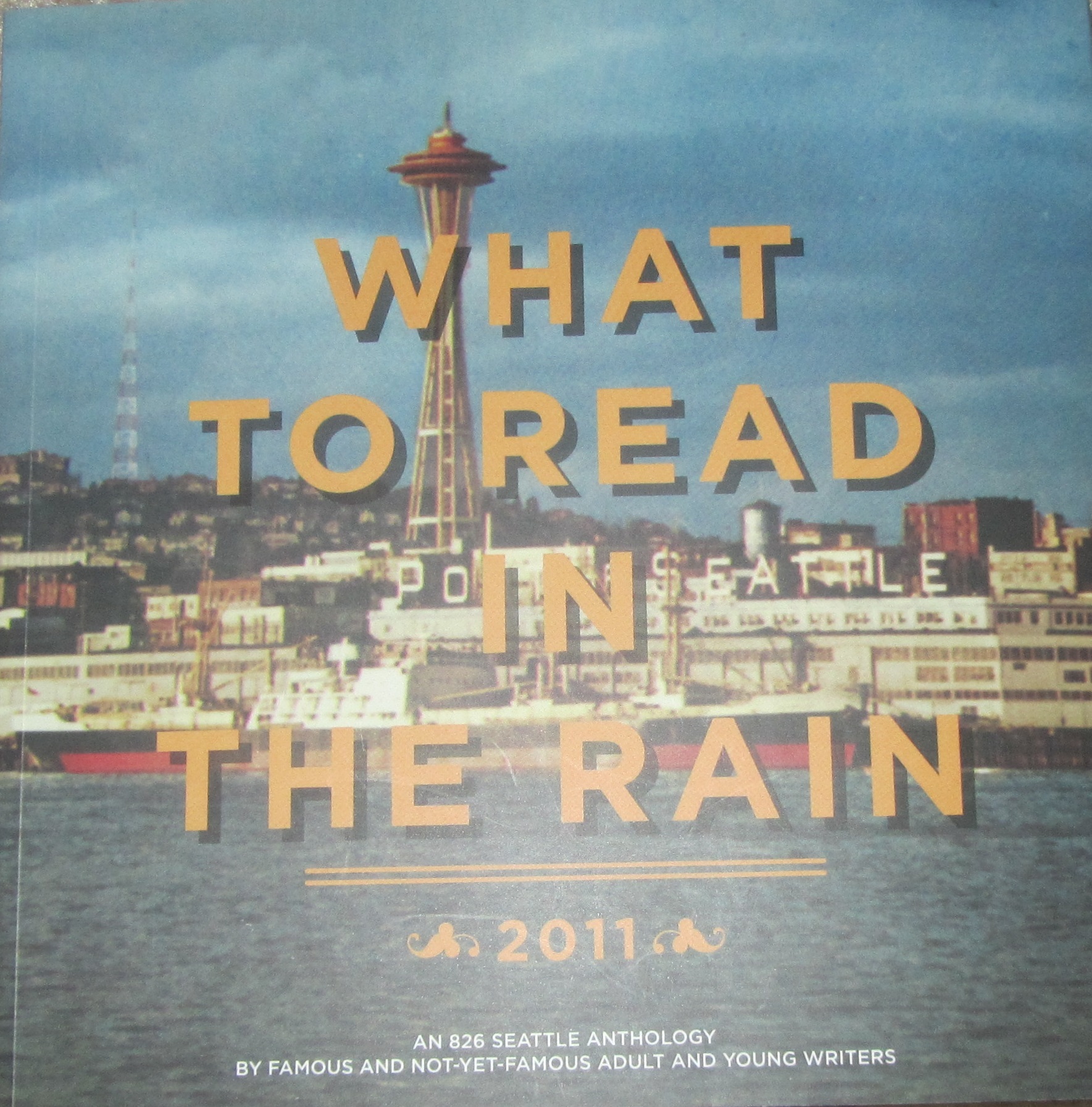 What to Read in the Rain book cover