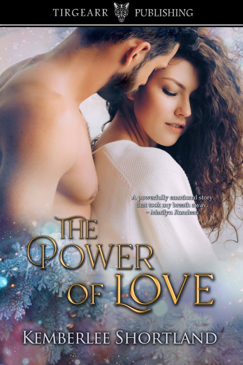 The Power of Love book cover