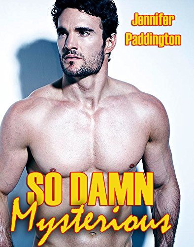 So Damn Mysterious book cover