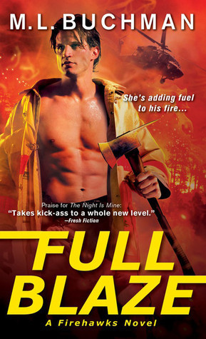 Firehawks book cover 2
