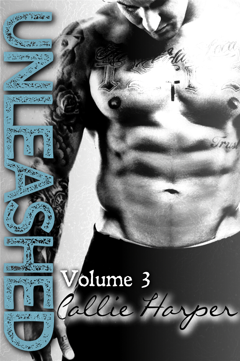 Unleashed book cover 3