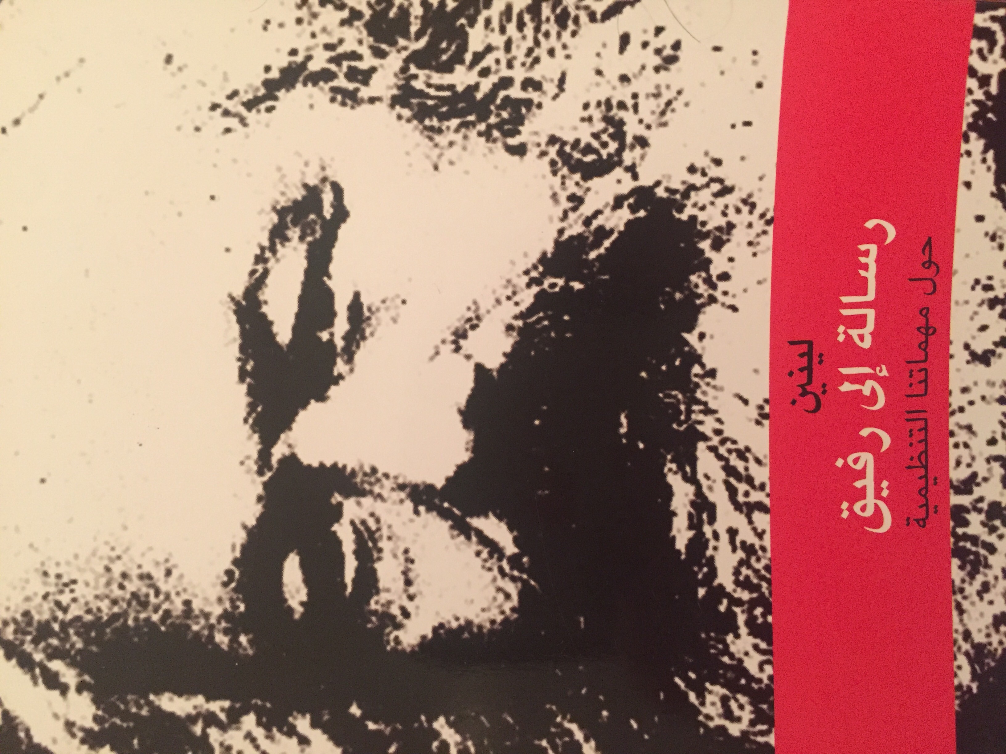 A Letter to a Comrade on Our Organisational Tasks book cover