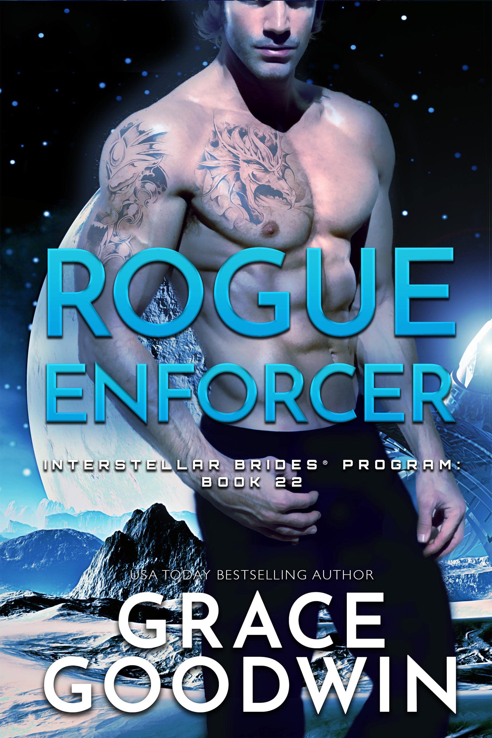Rogue Enforcer book cover