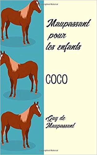 Coco book cover