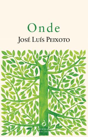Onde book cover