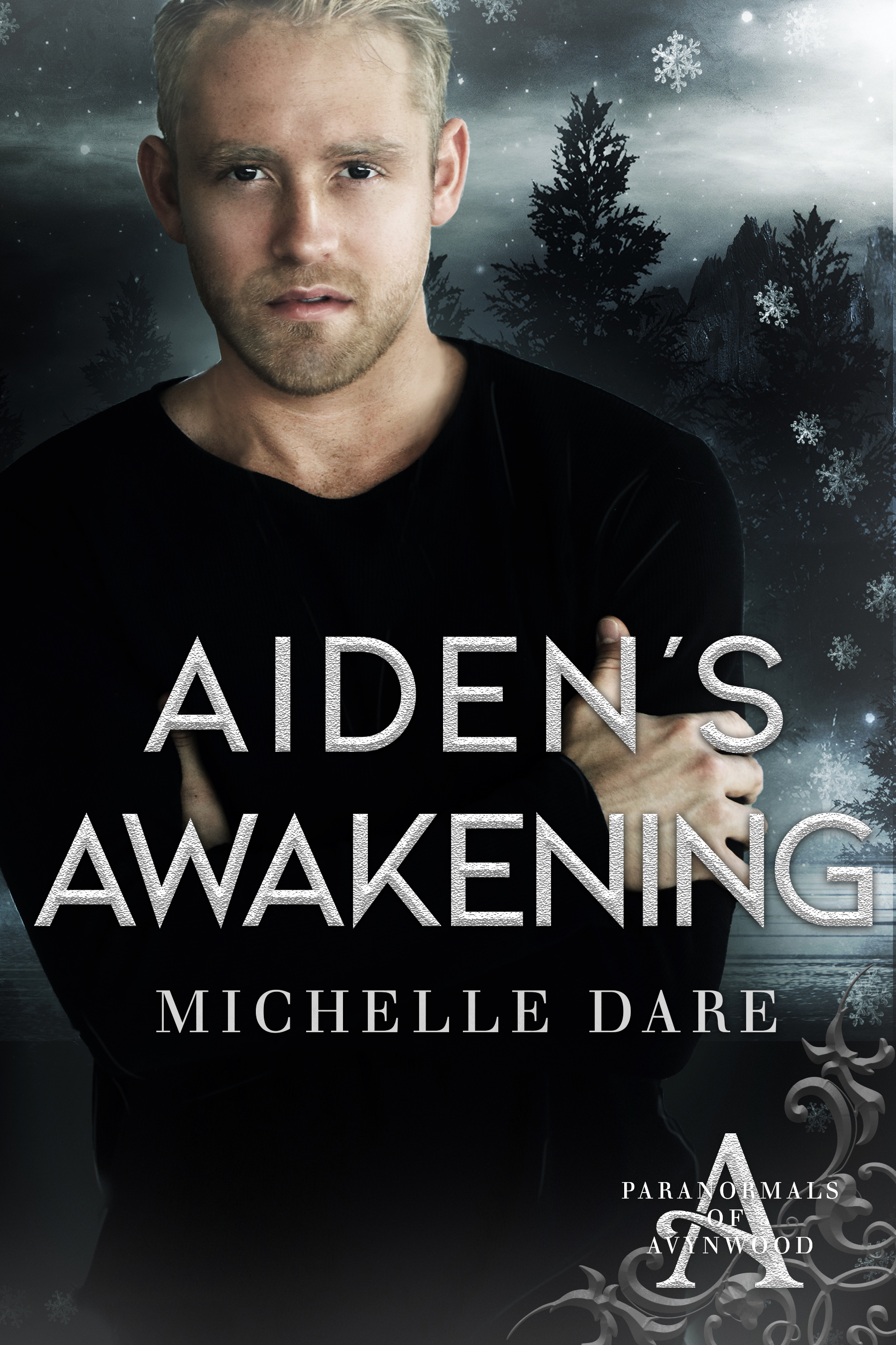 Aiden's Awakening book cover