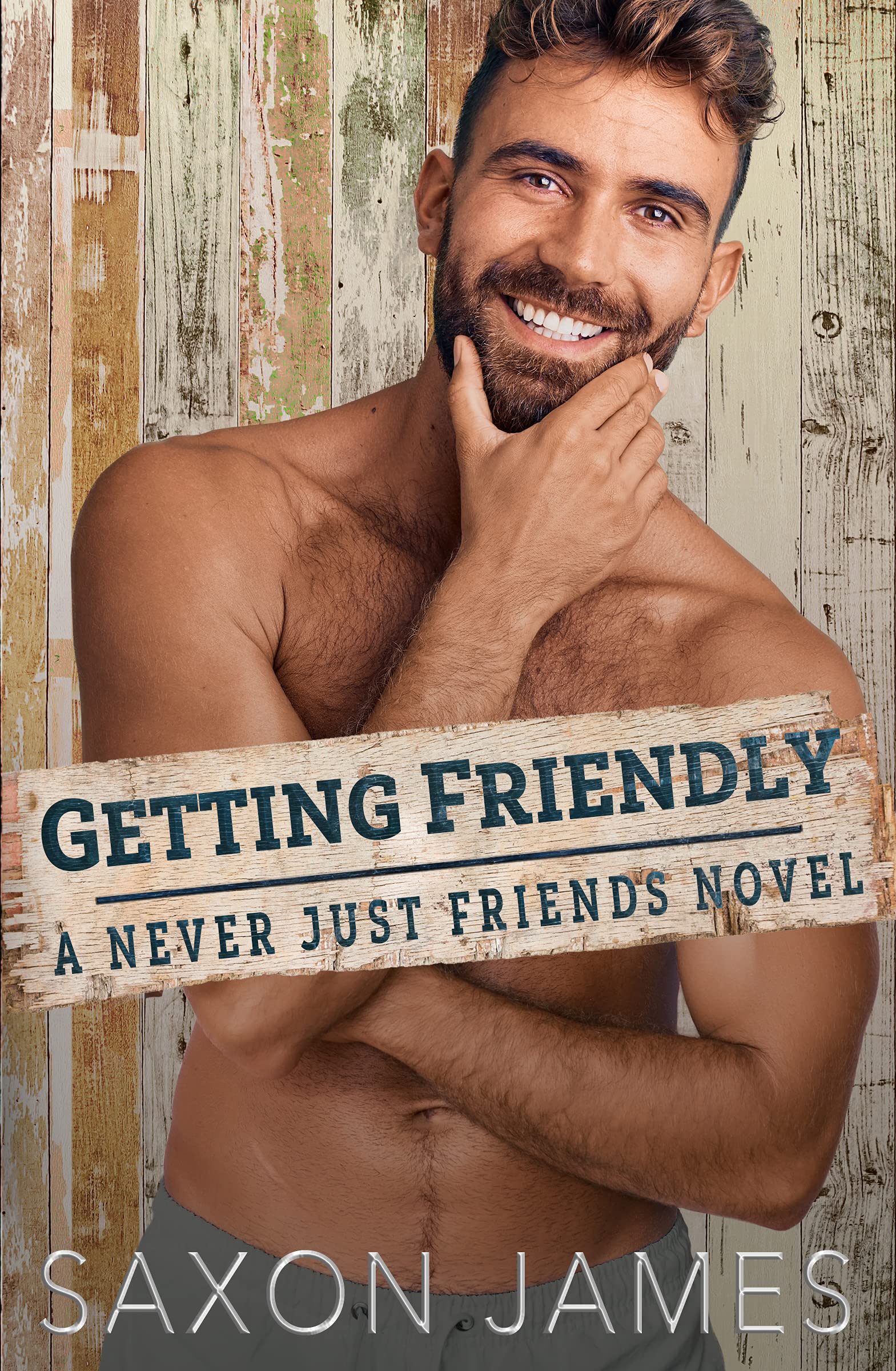 Never Just Friends book cover 3