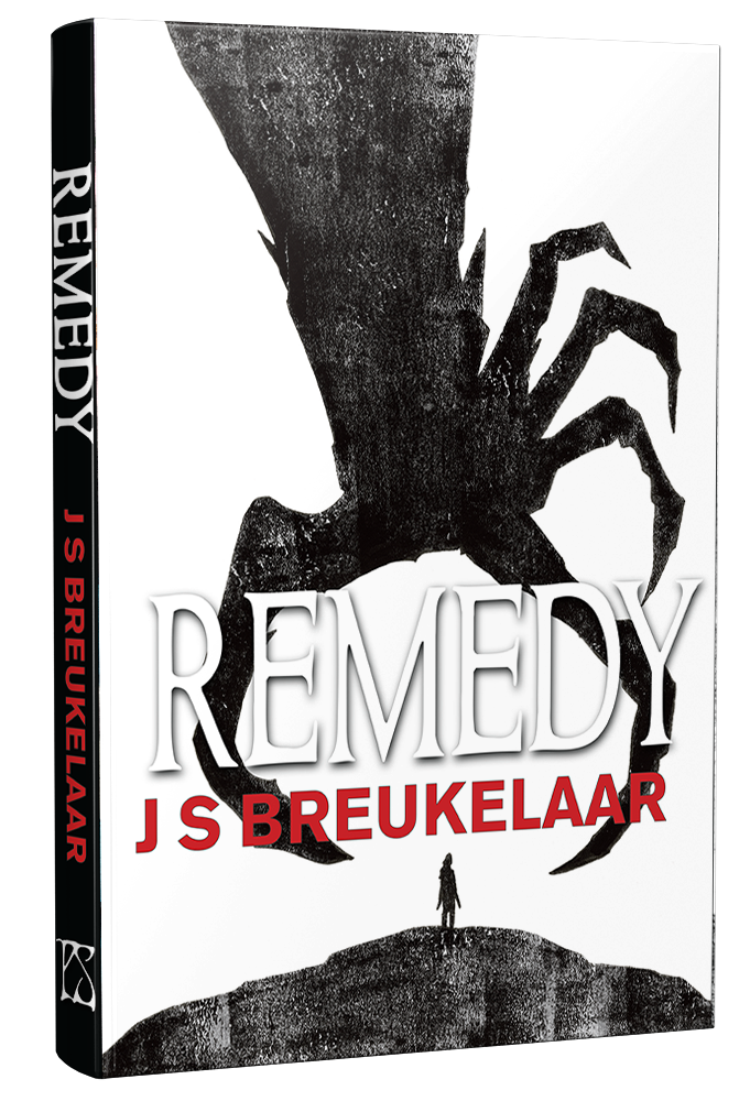 Remedy book cover