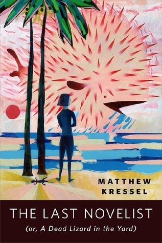 The Last Novelist book cover