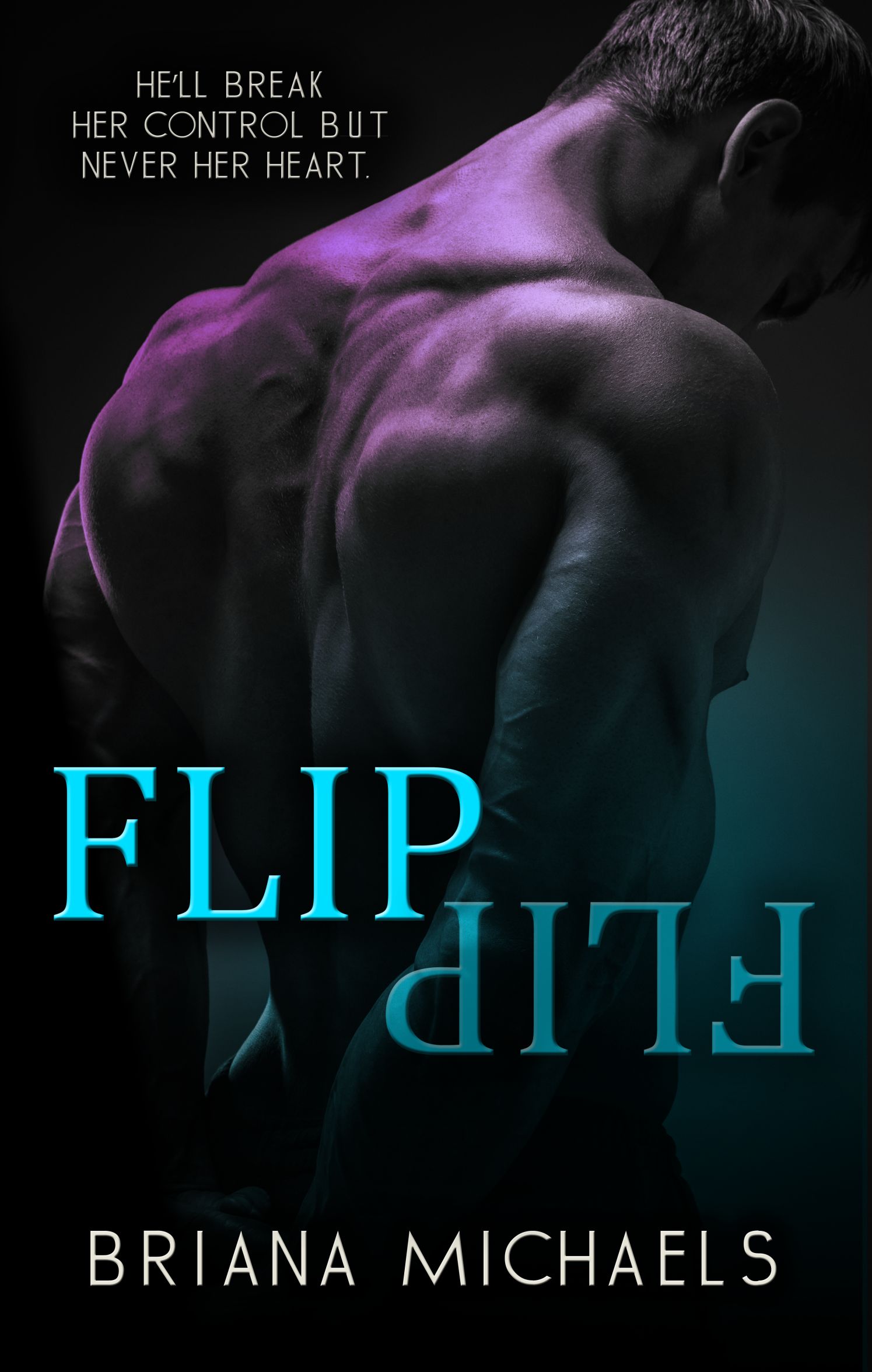 Next Level book cover 2