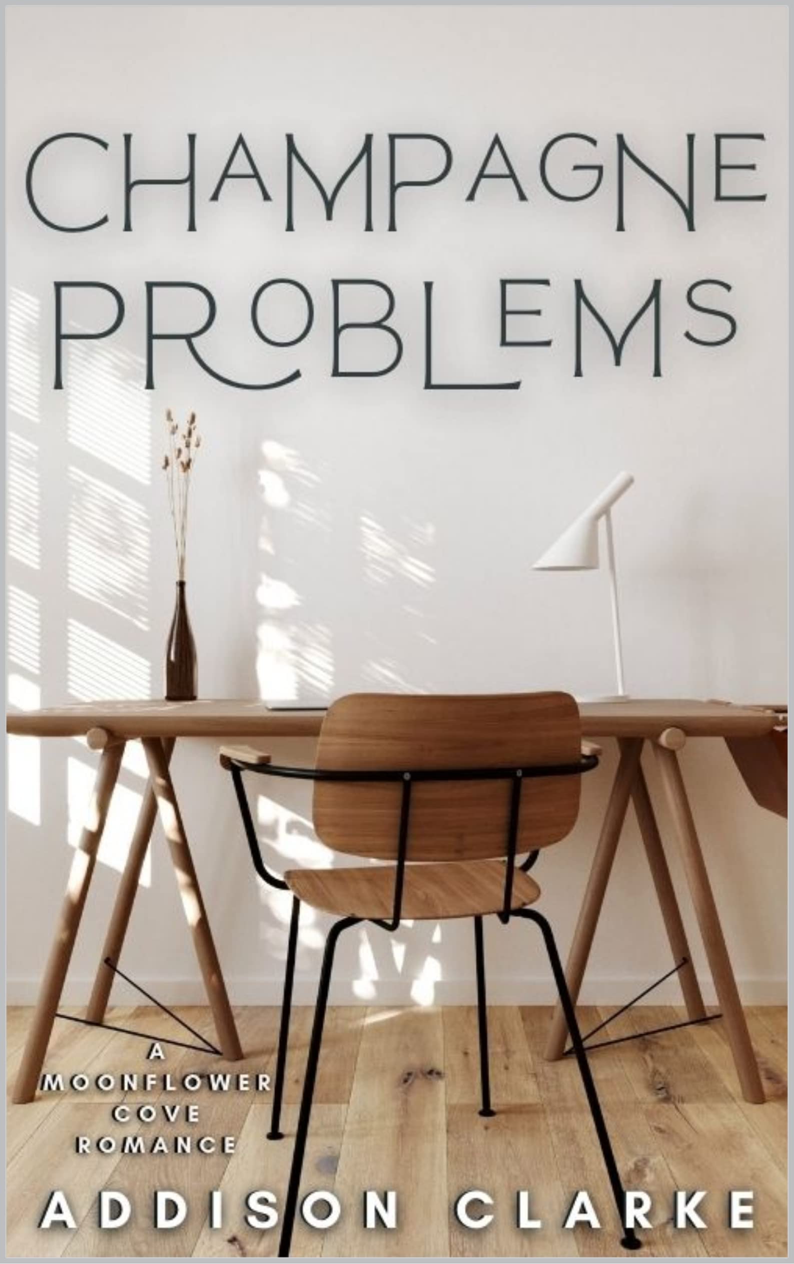 Champagne Problems book cover