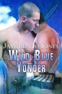 Wild Blue Yonder book cover