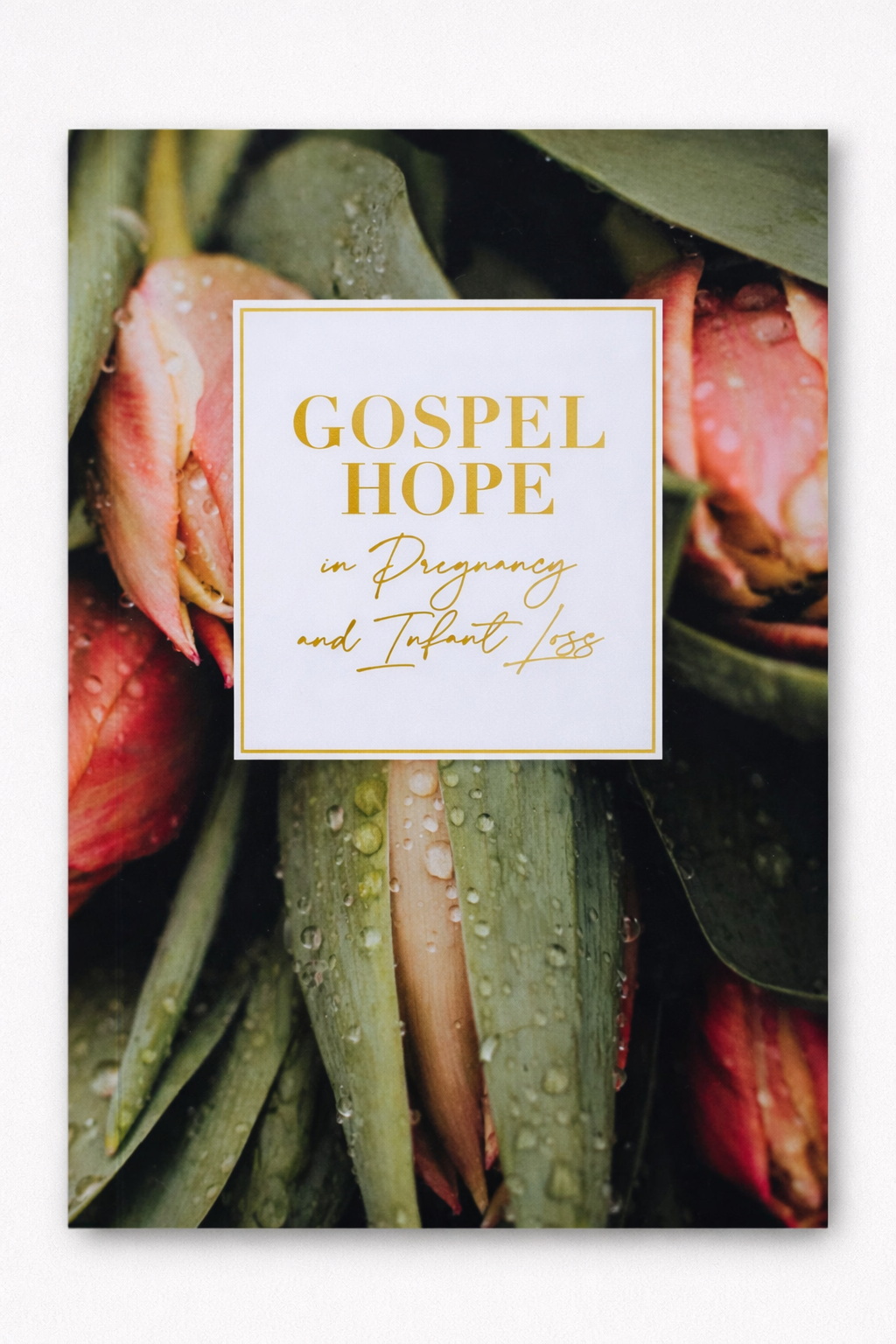 Gospel Hope in Pregnancy and Infant Loss book cover