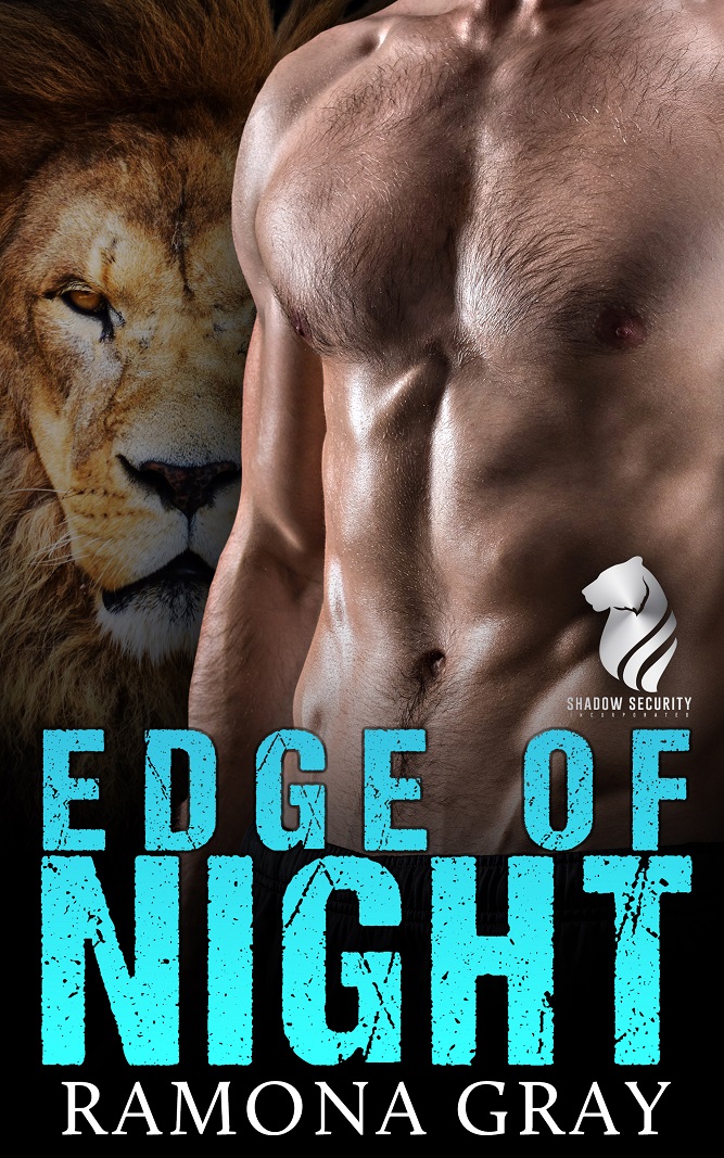 Shadow Security book cover 2