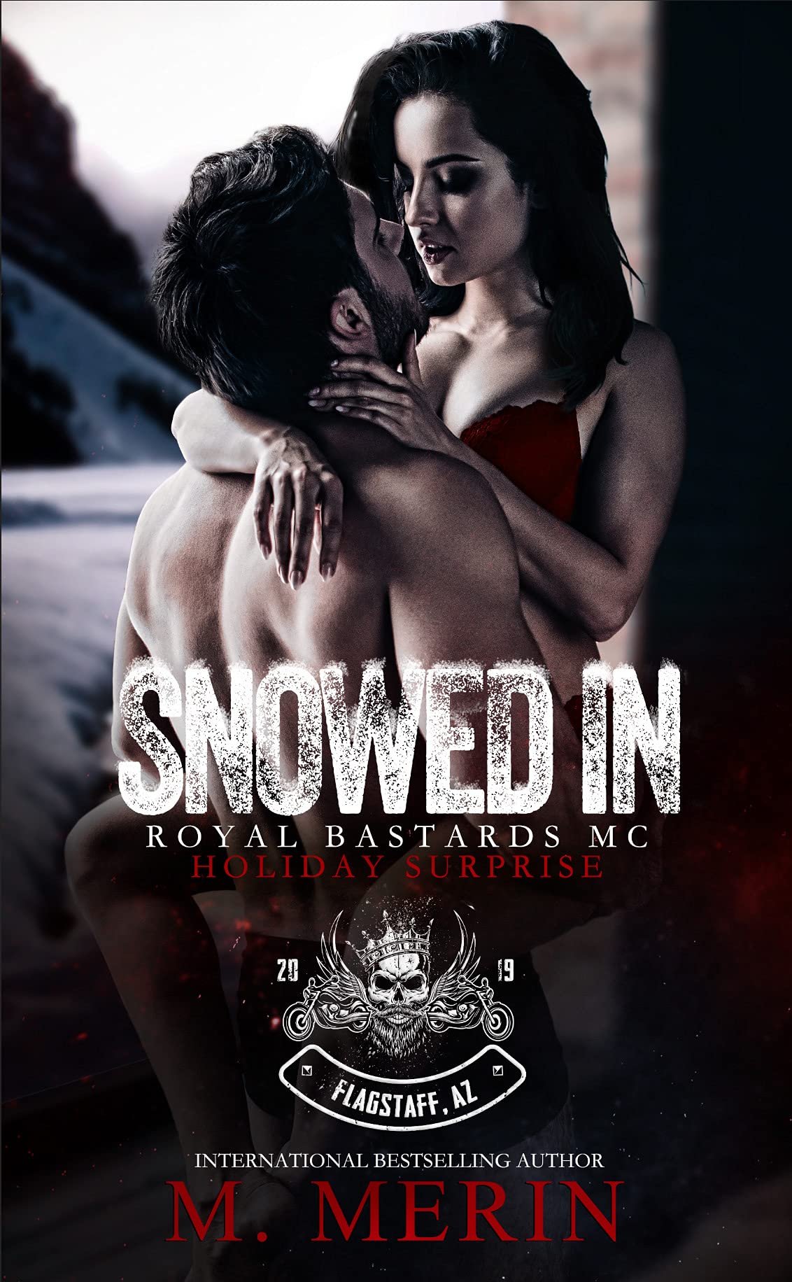 Snowed In book cover