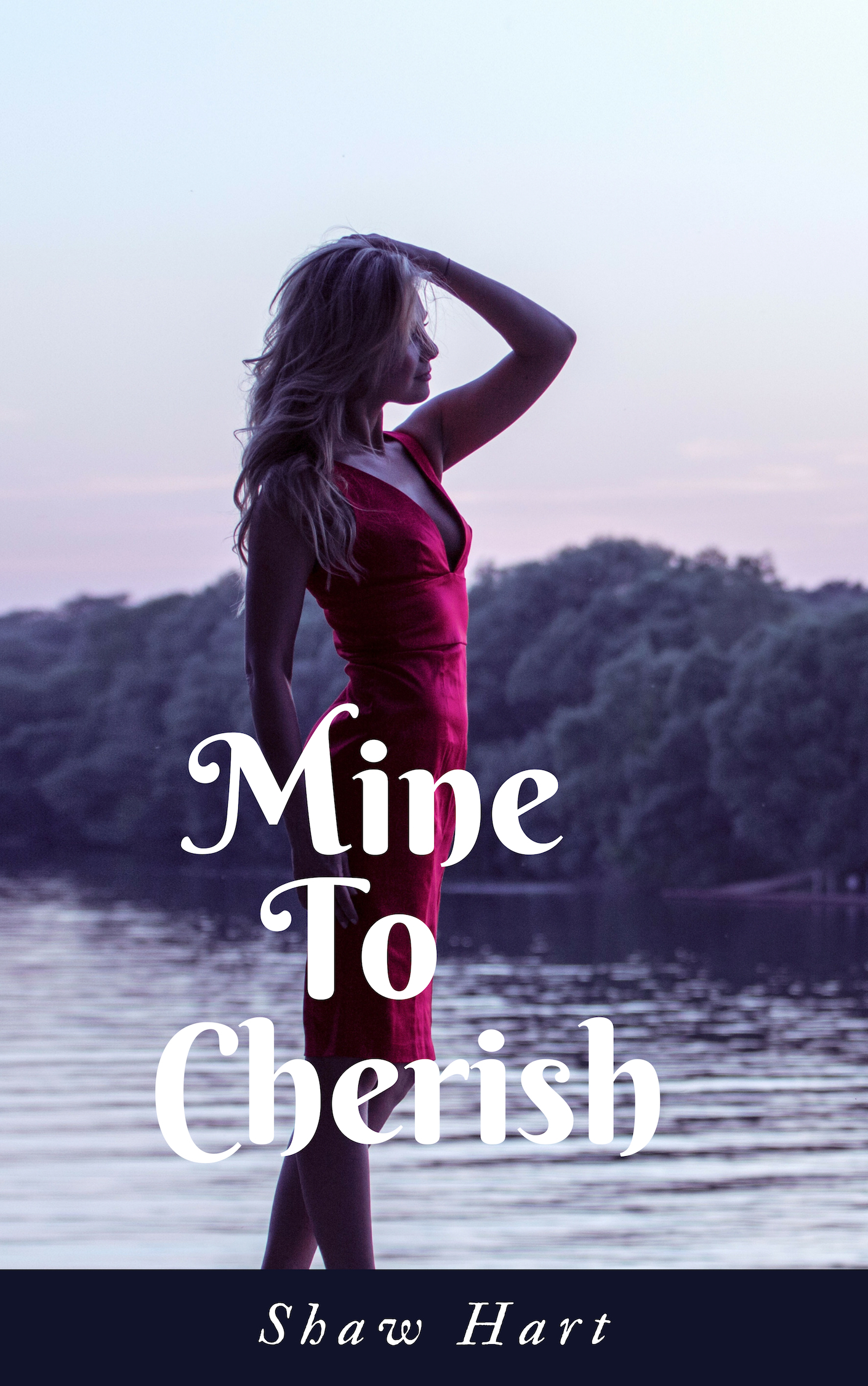 Mine book cover 3