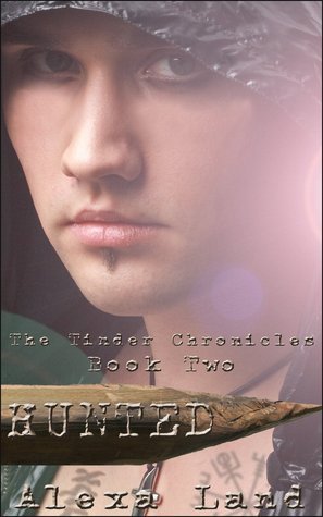 The Tinder Chronicles book cover 2