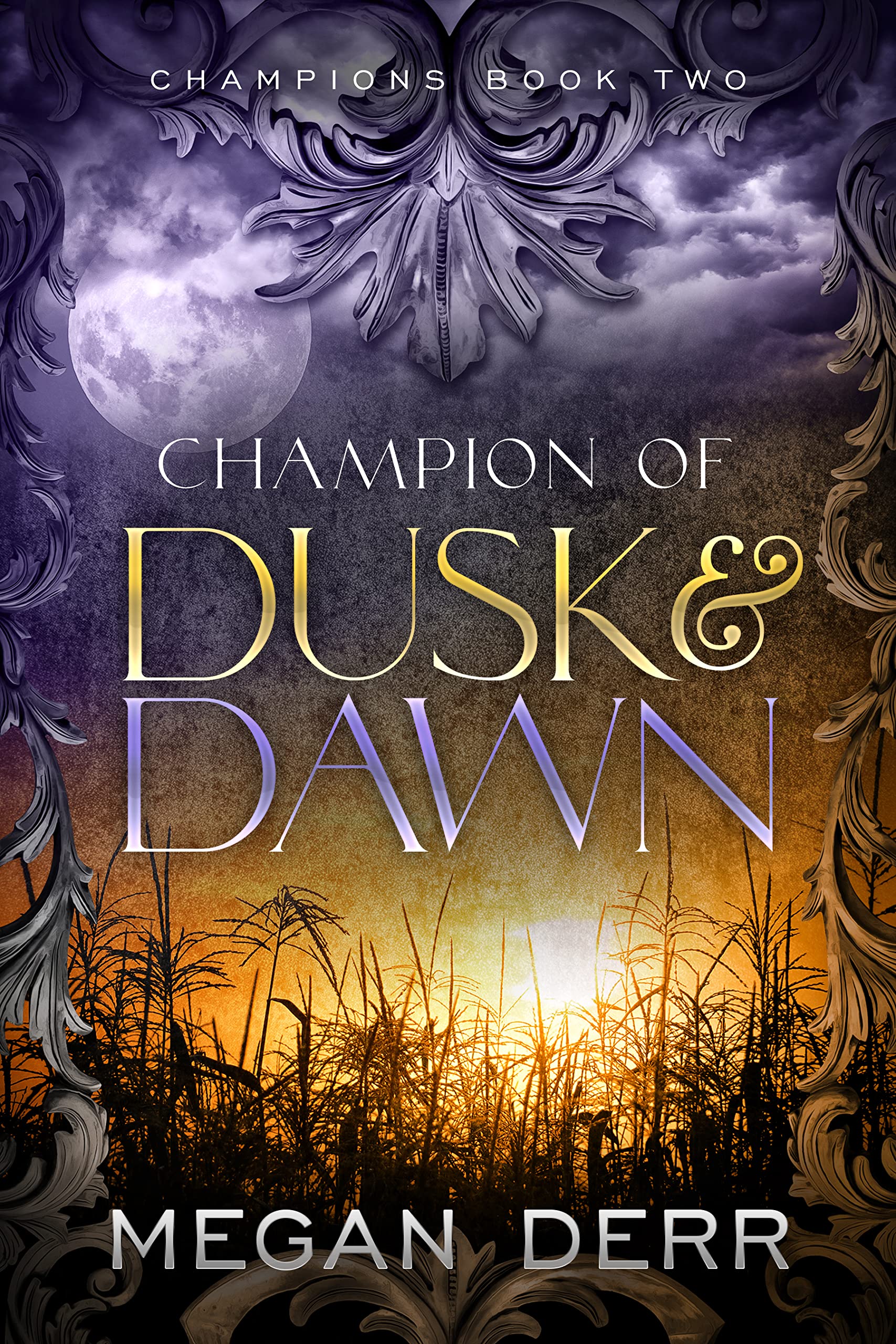 Champions book cover 2
