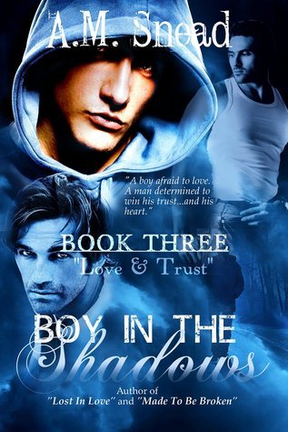 Boy in the Shadows book cover 1