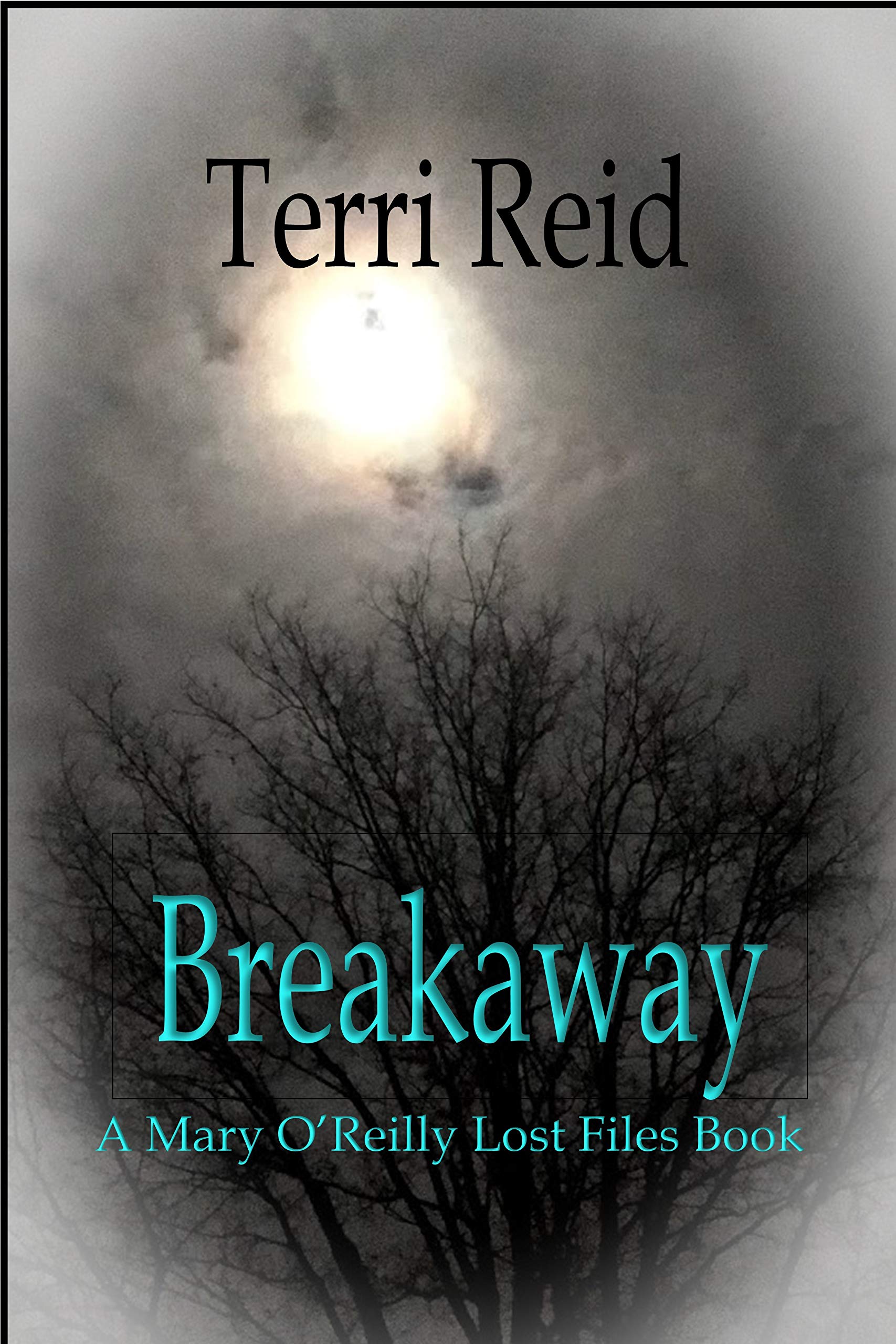 Breakaway - A Mary O'Reilly Lost Files Book book cover