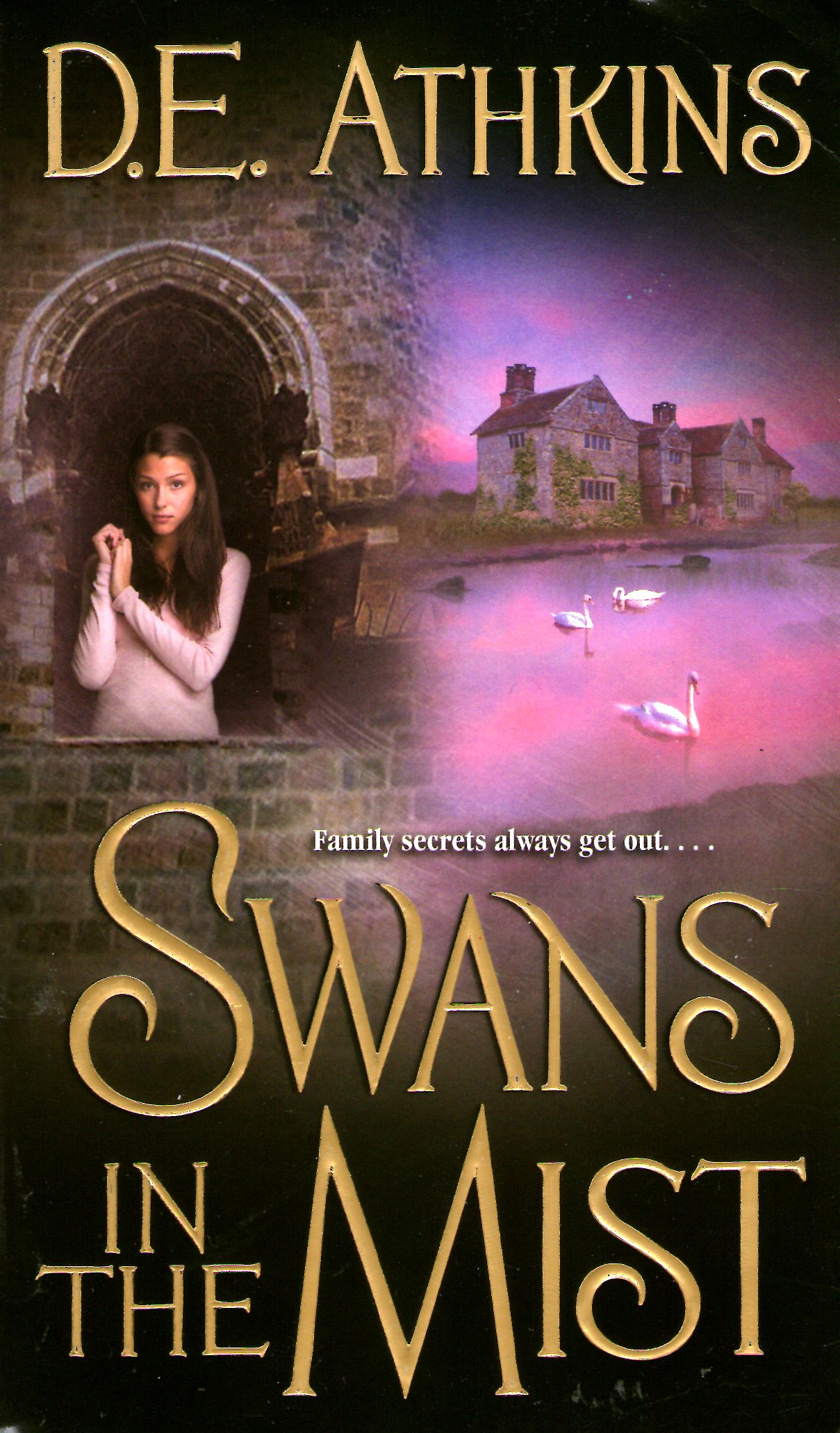 Swans in the Mist book cover