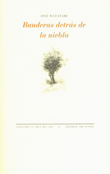 Banderas detrás de la Niebla book cover