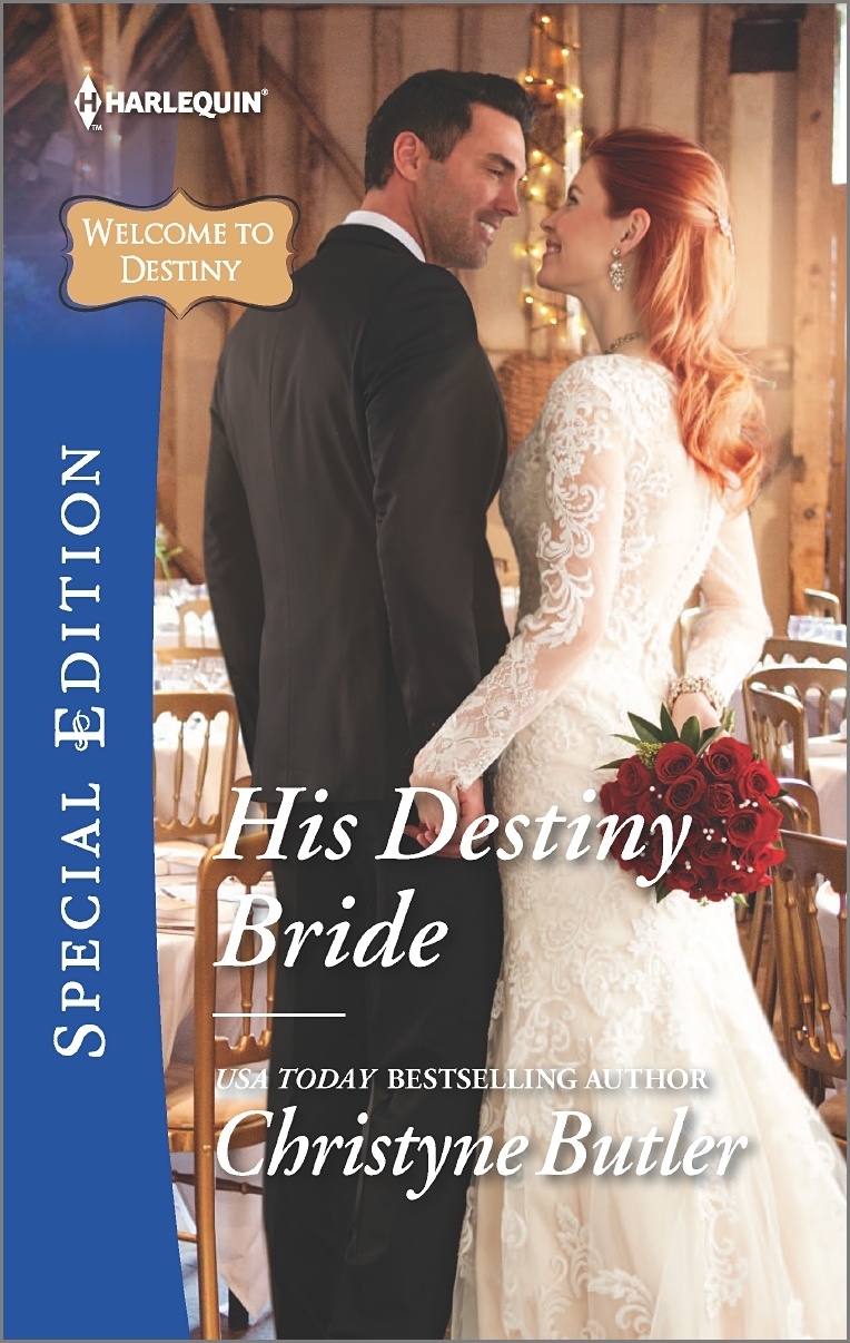 His Destiny Bride book cover