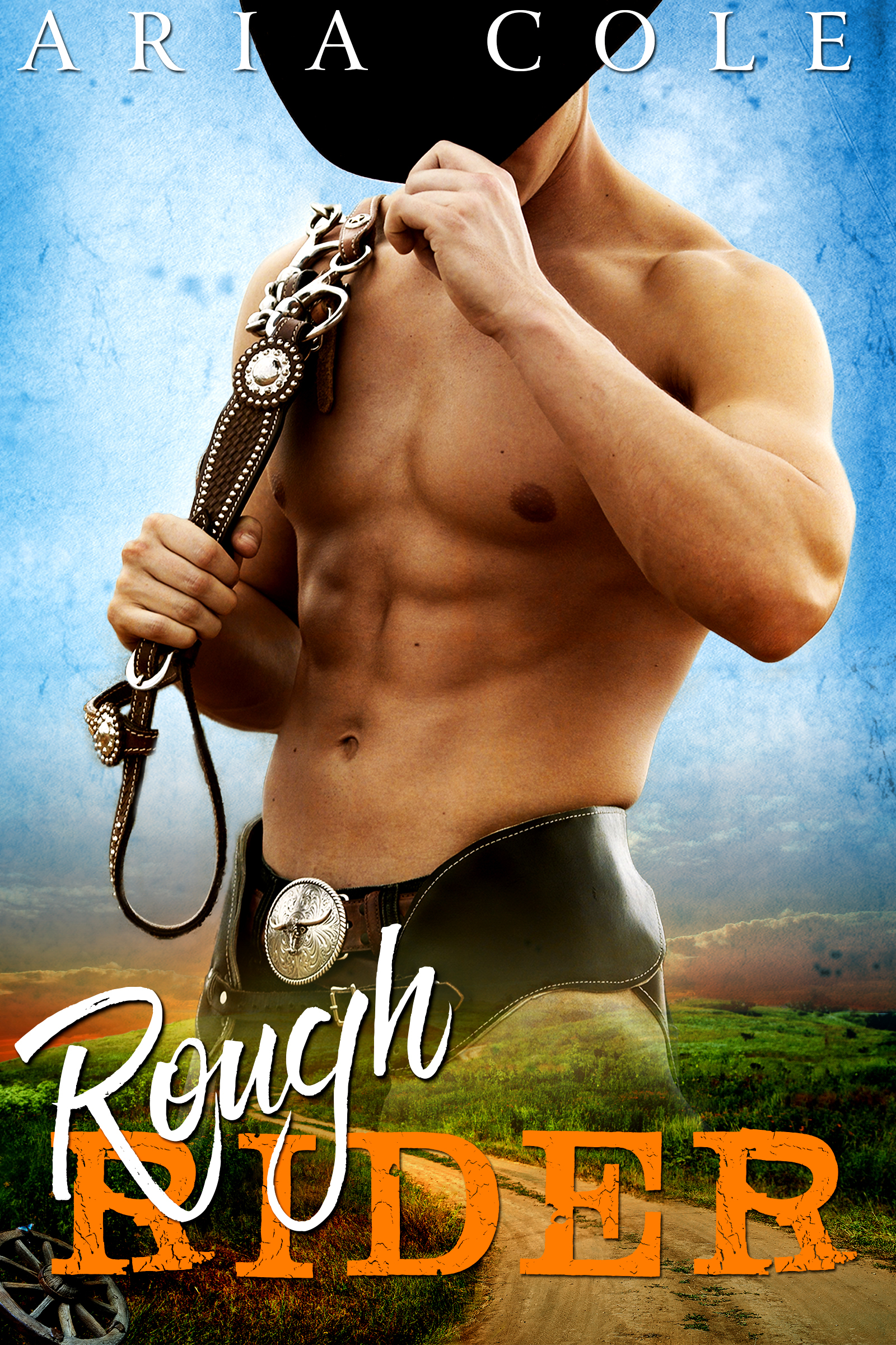 Rough Rider book cover 1