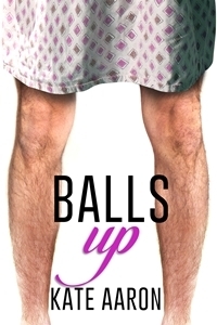 Blowing It book cover 2