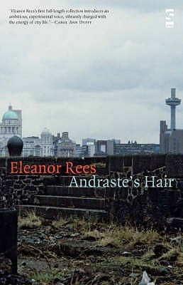 Andraste's Hair book cover