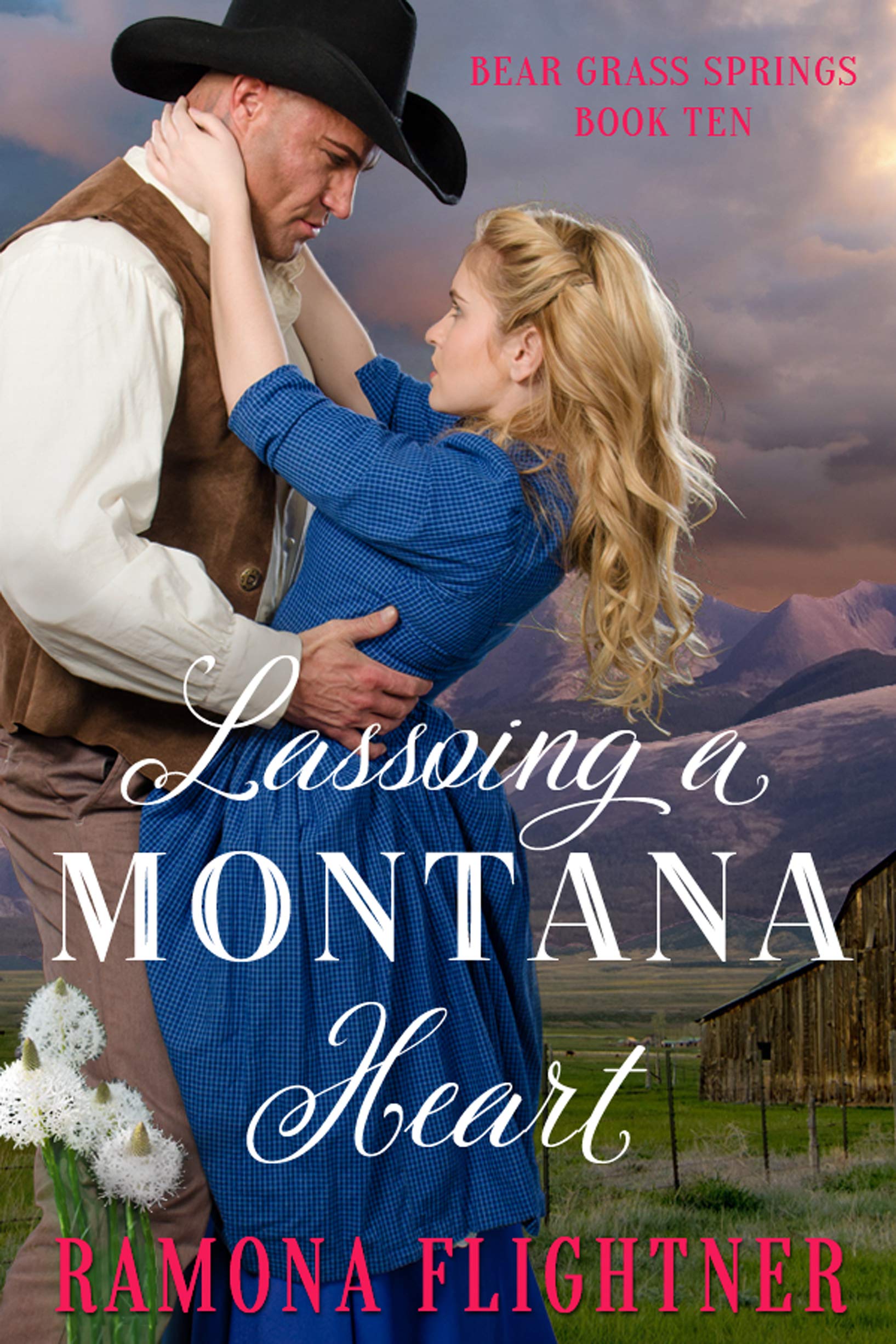 Lassoing a Montana Heart book cover