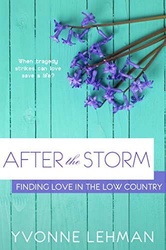 After the Storm book cover