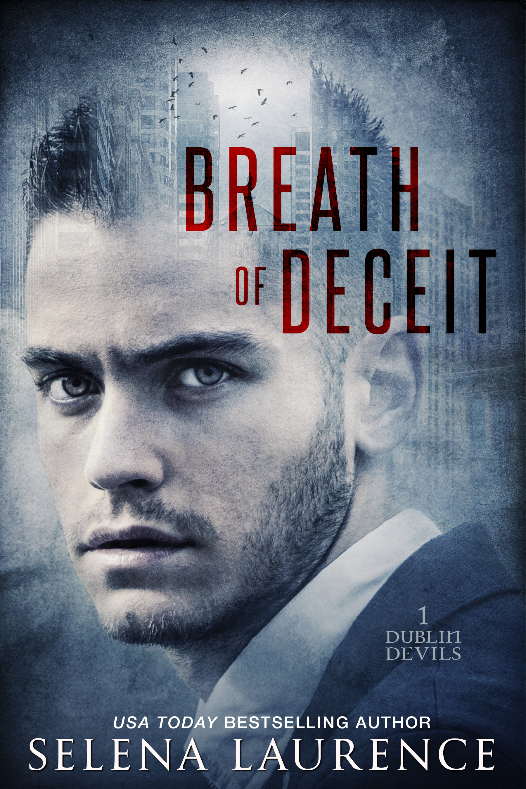 Dublin Devils book cover 1