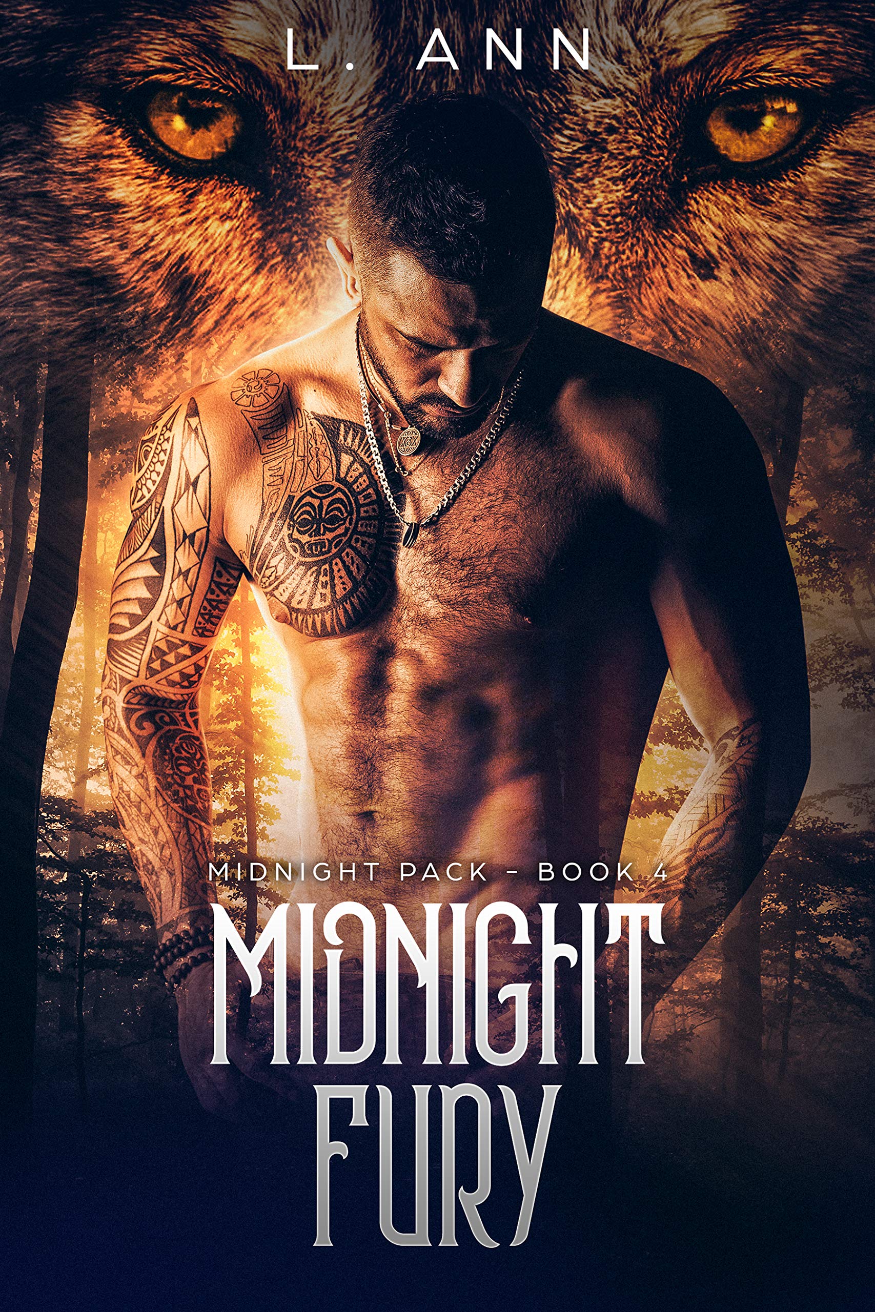 Midnight Fury book cover