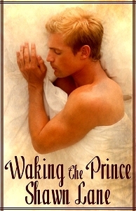 Waking the Prince book cover