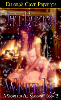 Storm for All Seasons book cover 3