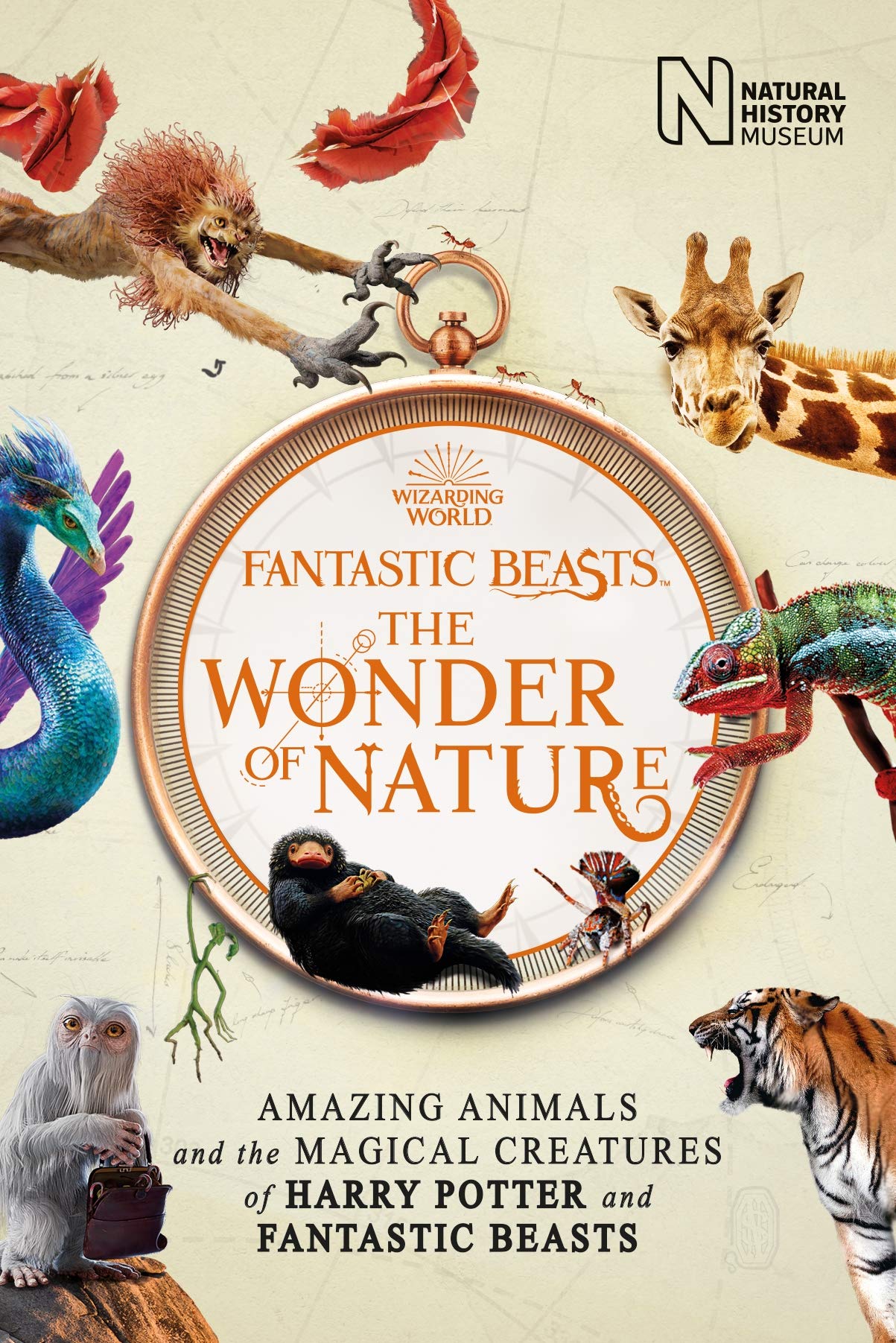 Fantastic Beasts book cover