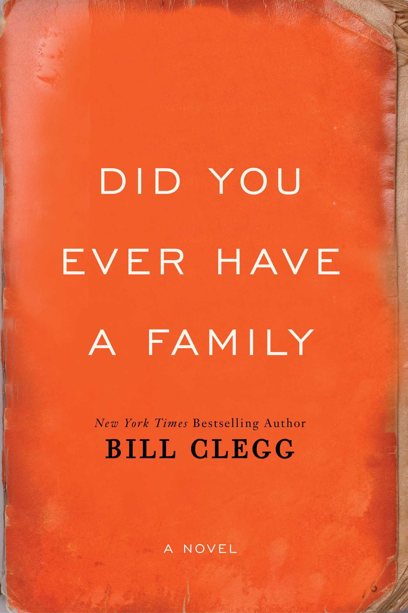 Did You Ever Have a Family book cover