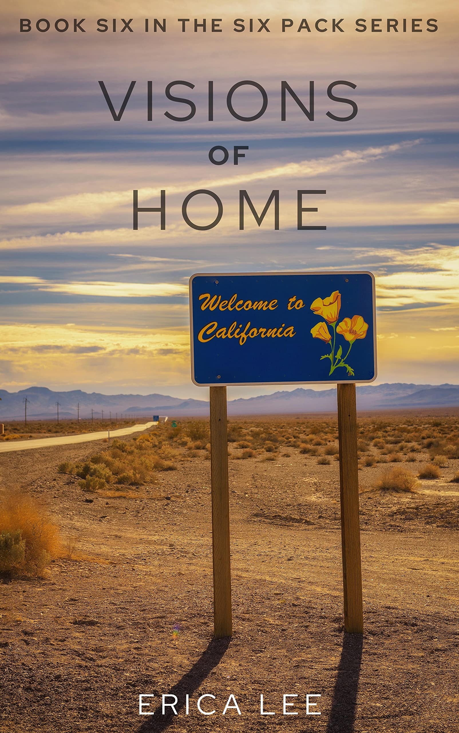 Visions of Home book cover